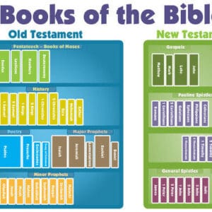 Books of the Bible Chart (11" x 17" in color)