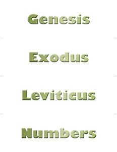 Books of the Bible Set