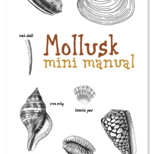 Mollusk Mini Manual