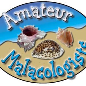 Door Sign in Color: Amateur Malacologists