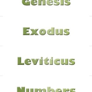 Books of the Bible Set in color