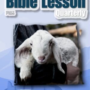 Bible Lesson Quarterly (2023Q2 - Christ's Object Lessons, #2)