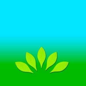 Garden of Prayer - Extra 100 die-cut green leaves, 1"