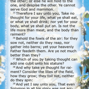 Project: Memory Bookmark (Matthew 6:19-34, set of 10)