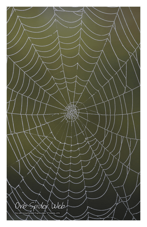 Nature Posters, set of 13 - Image 5