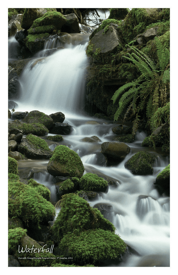 Nature Posters, set of 13 - Image 10