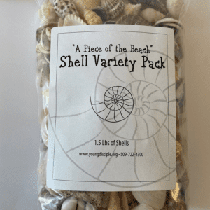 "Piece of the Beach" Assorted Seashells