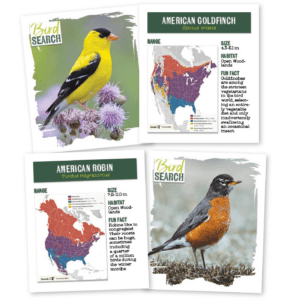 Bird ID Cards (36 Full-Color Flashcards)
